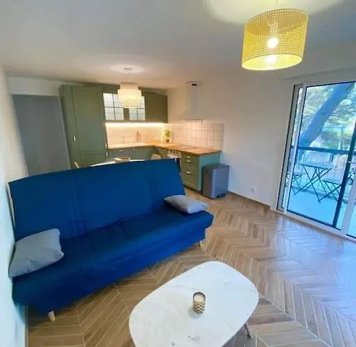 T2 Avec Clim Et Terrasse Vue Mer, Les Sablettes